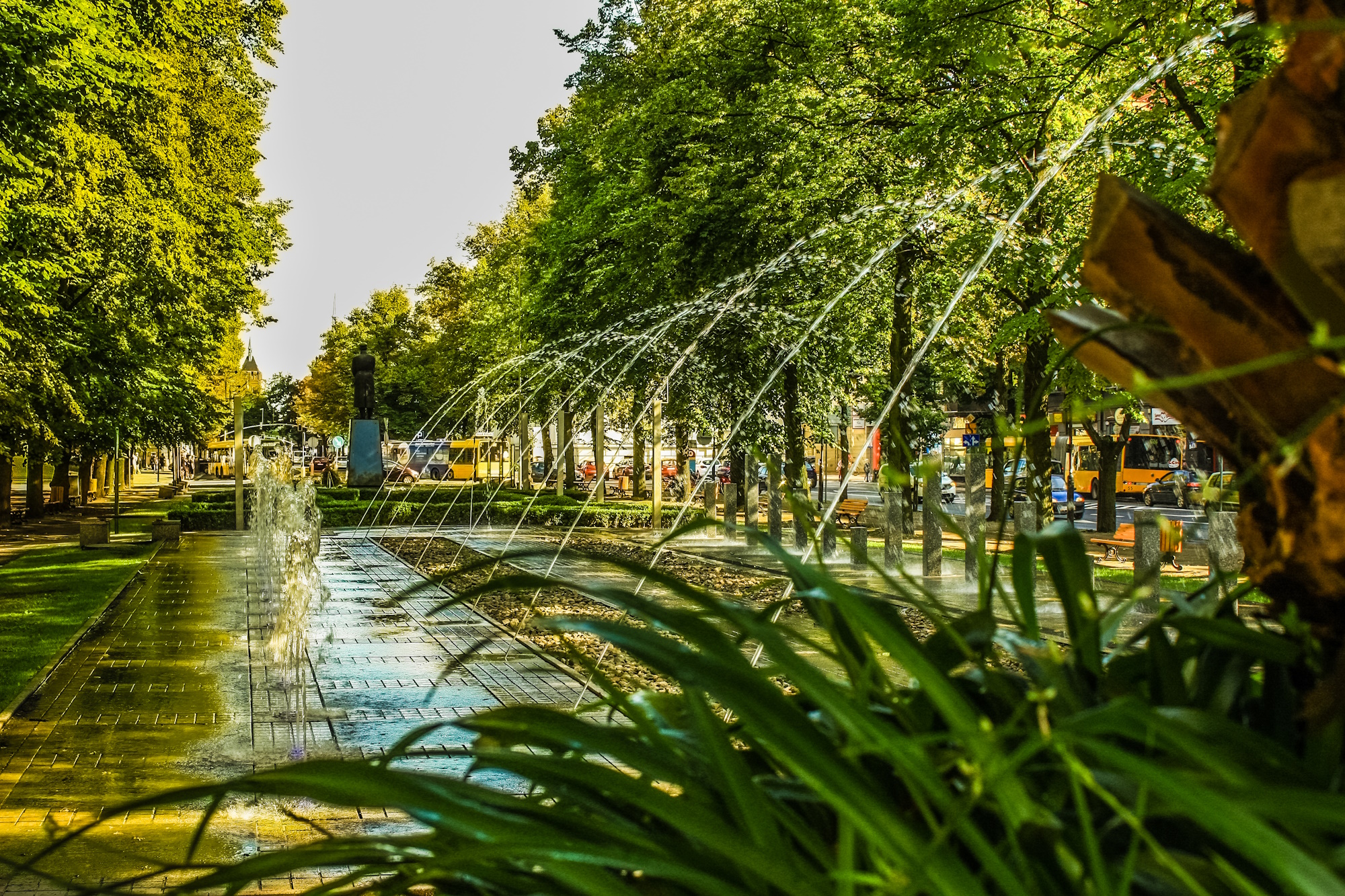 plac Piłsudskiego w zieleni