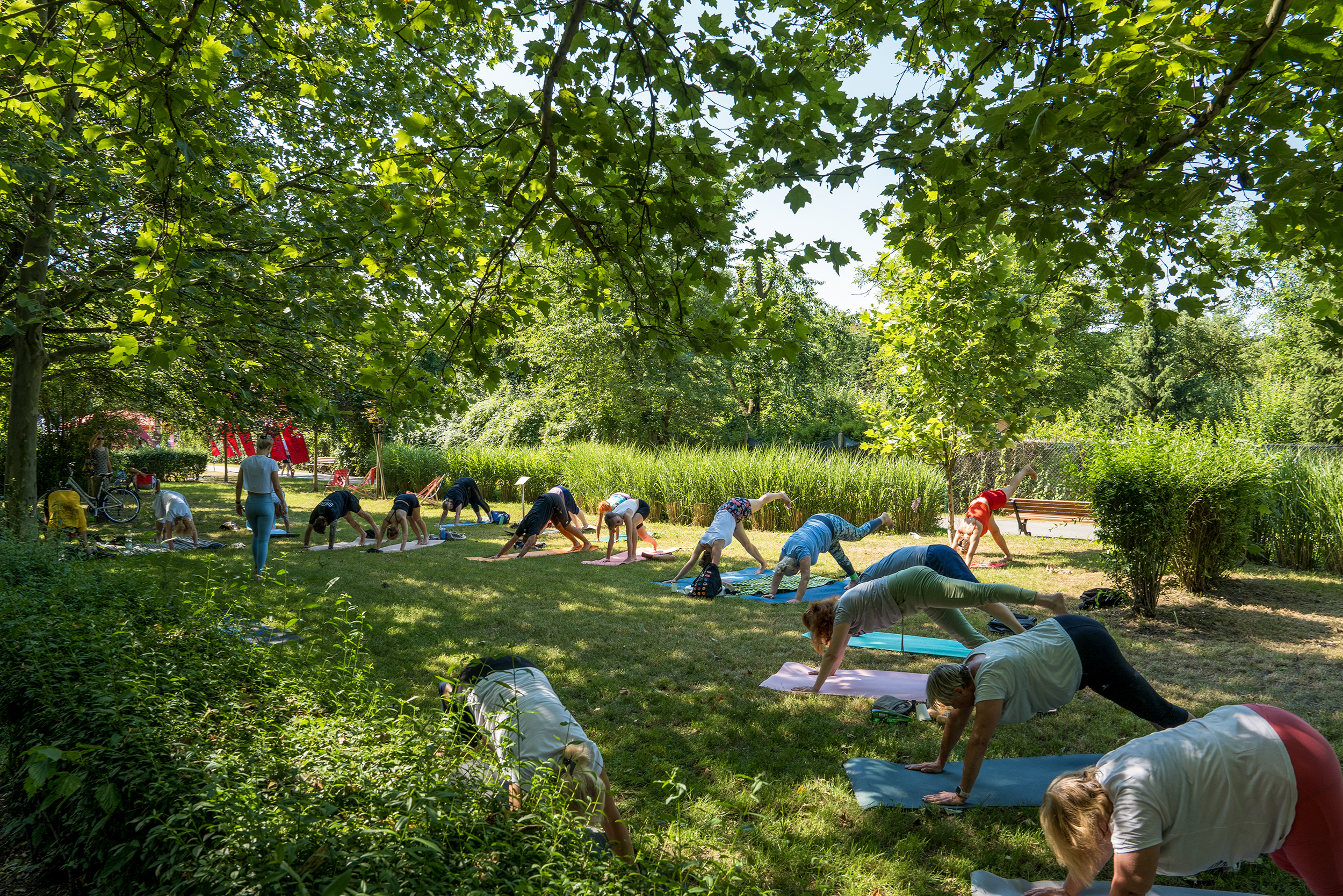 joga podczas Śniadania GZM 2026