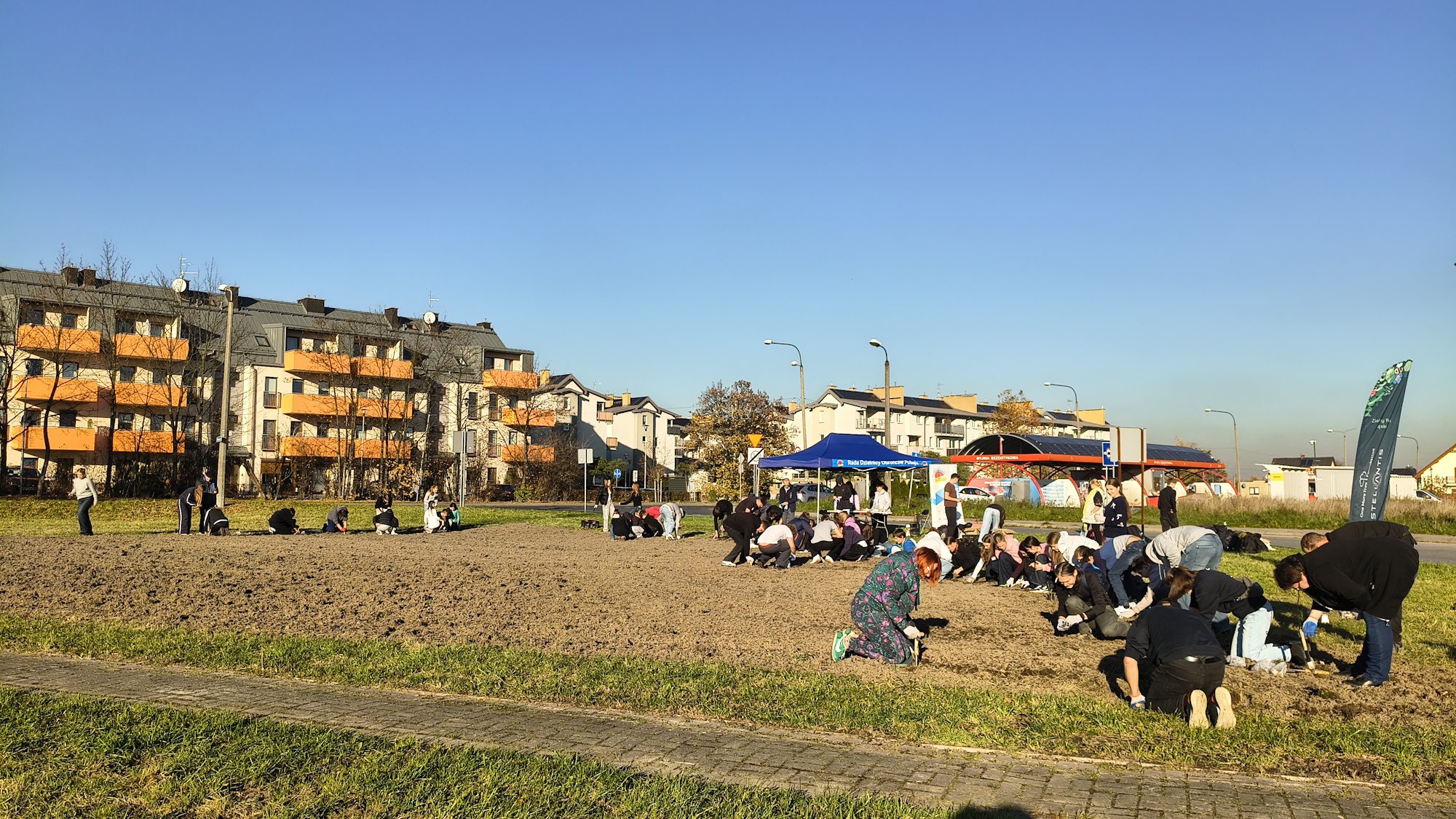 ludzie na polu