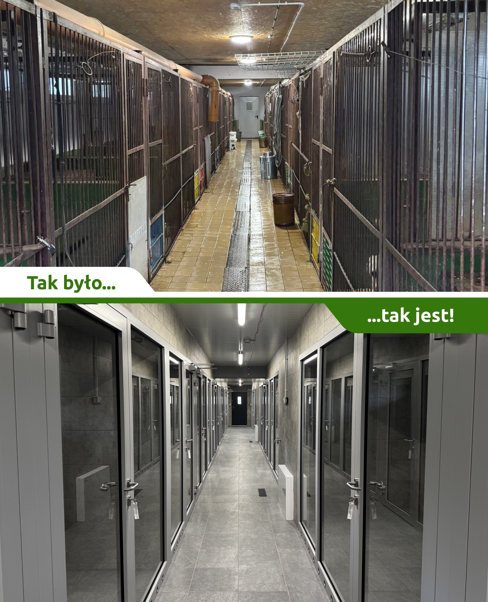 kolaż zdjęć
