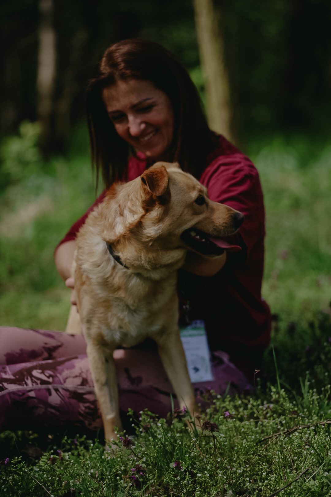 pies i wolontariuszka