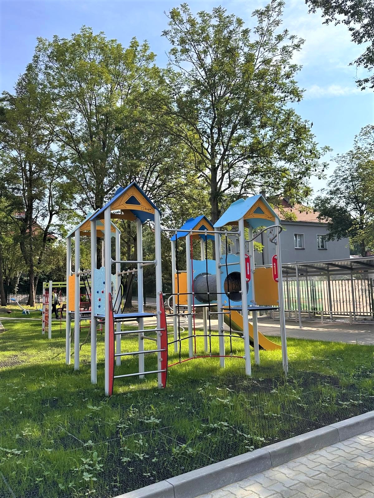 zieleń na placu szkolnym