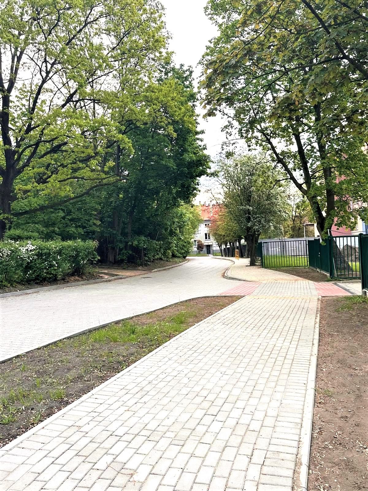 chodniki wśród zieleni