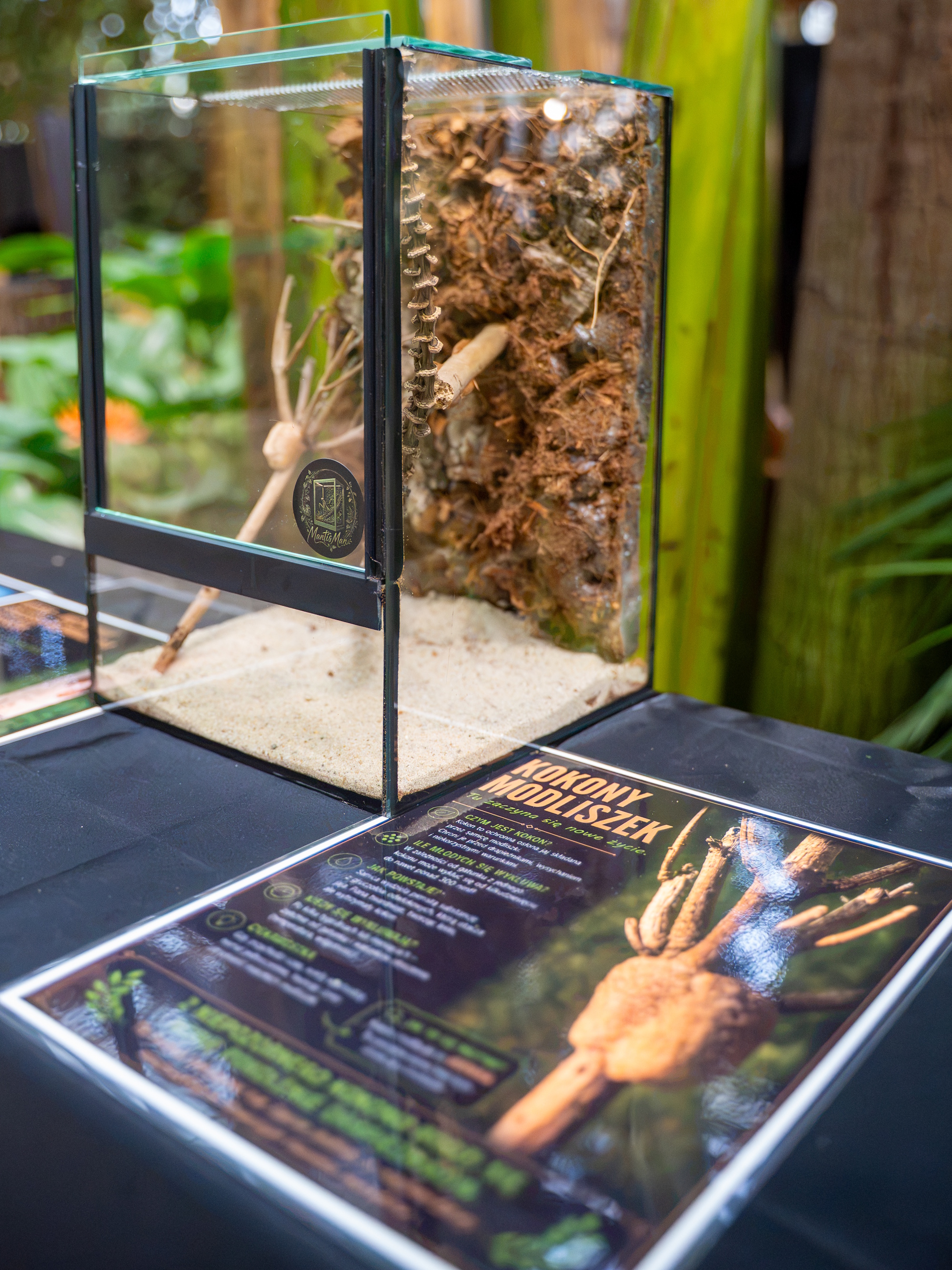 terrarium