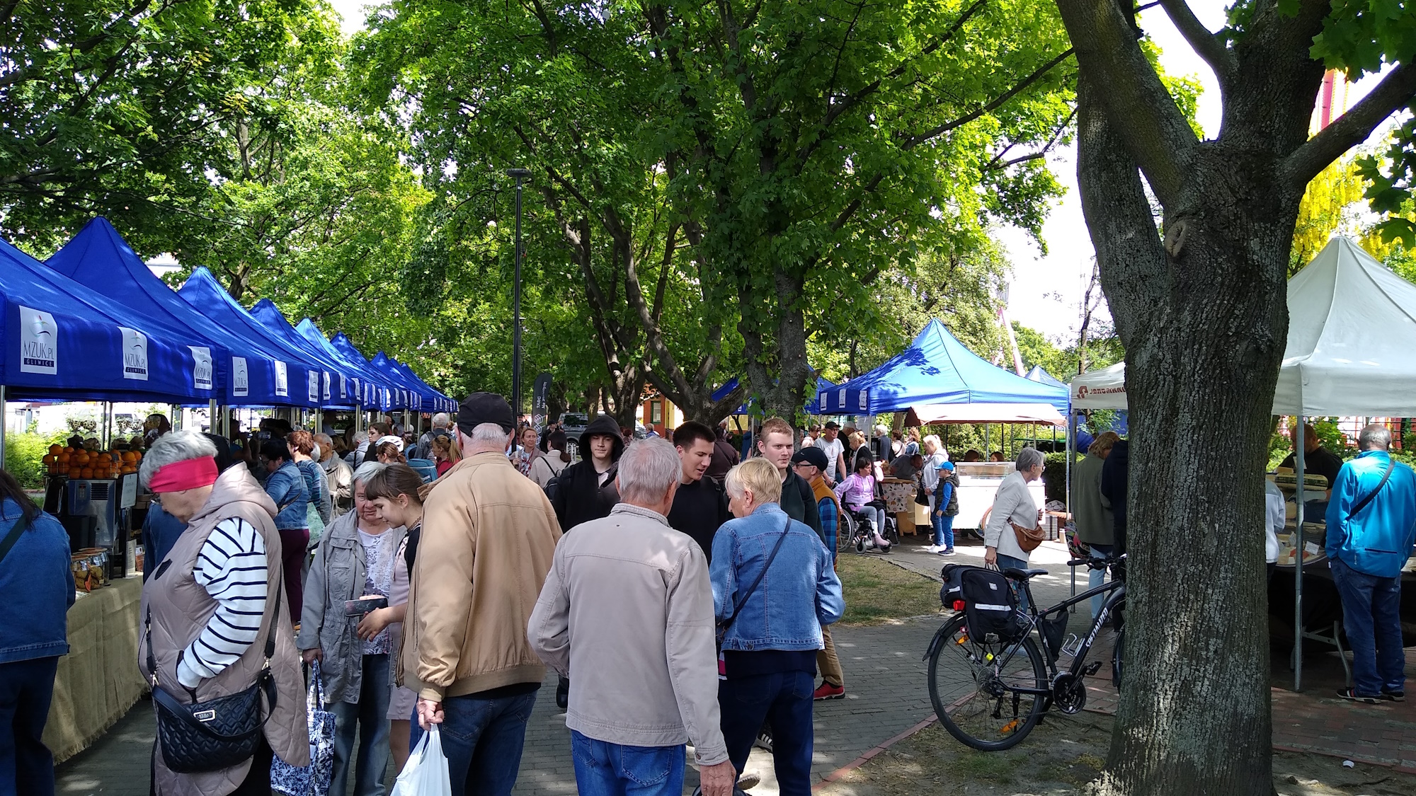 ludzie na targu, pod drzewami i stoiska z żywnością