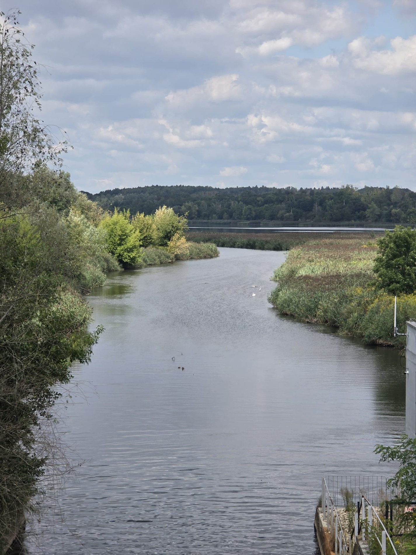 Ujście Kłodnicy
