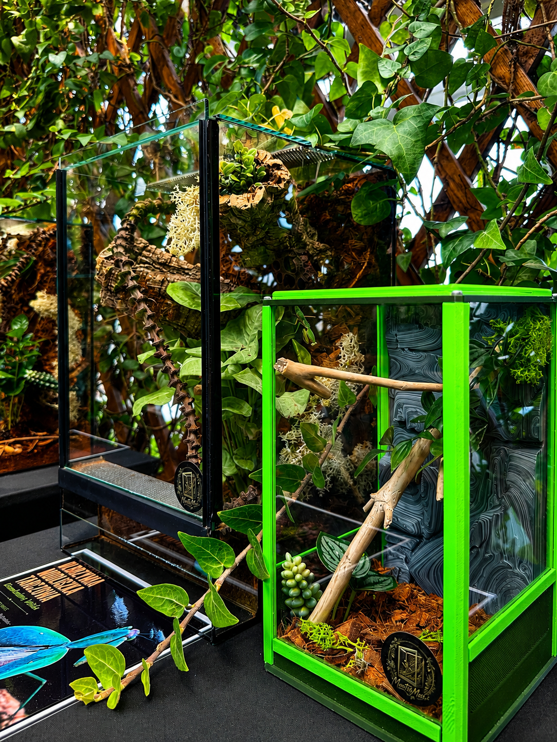 terrarium