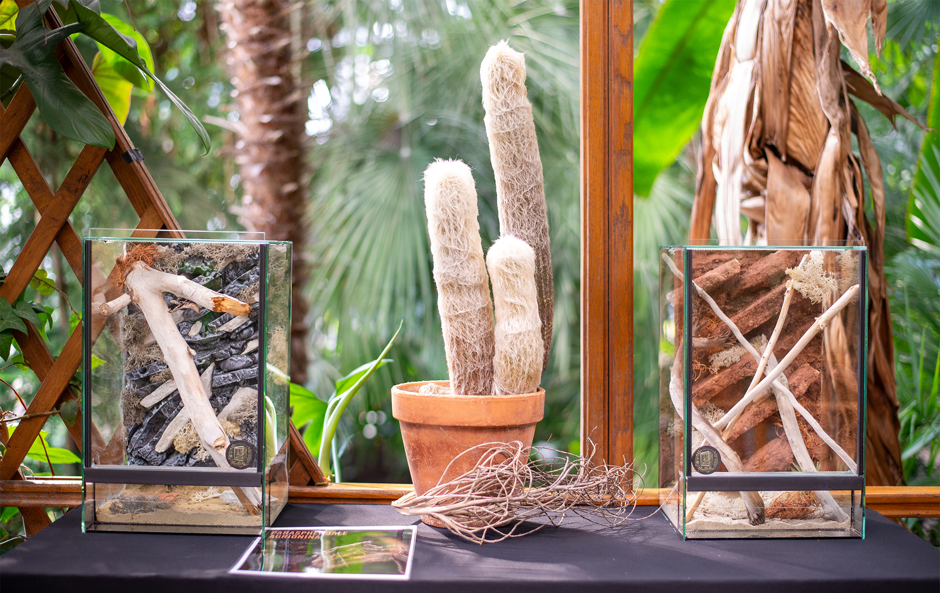 terrarium