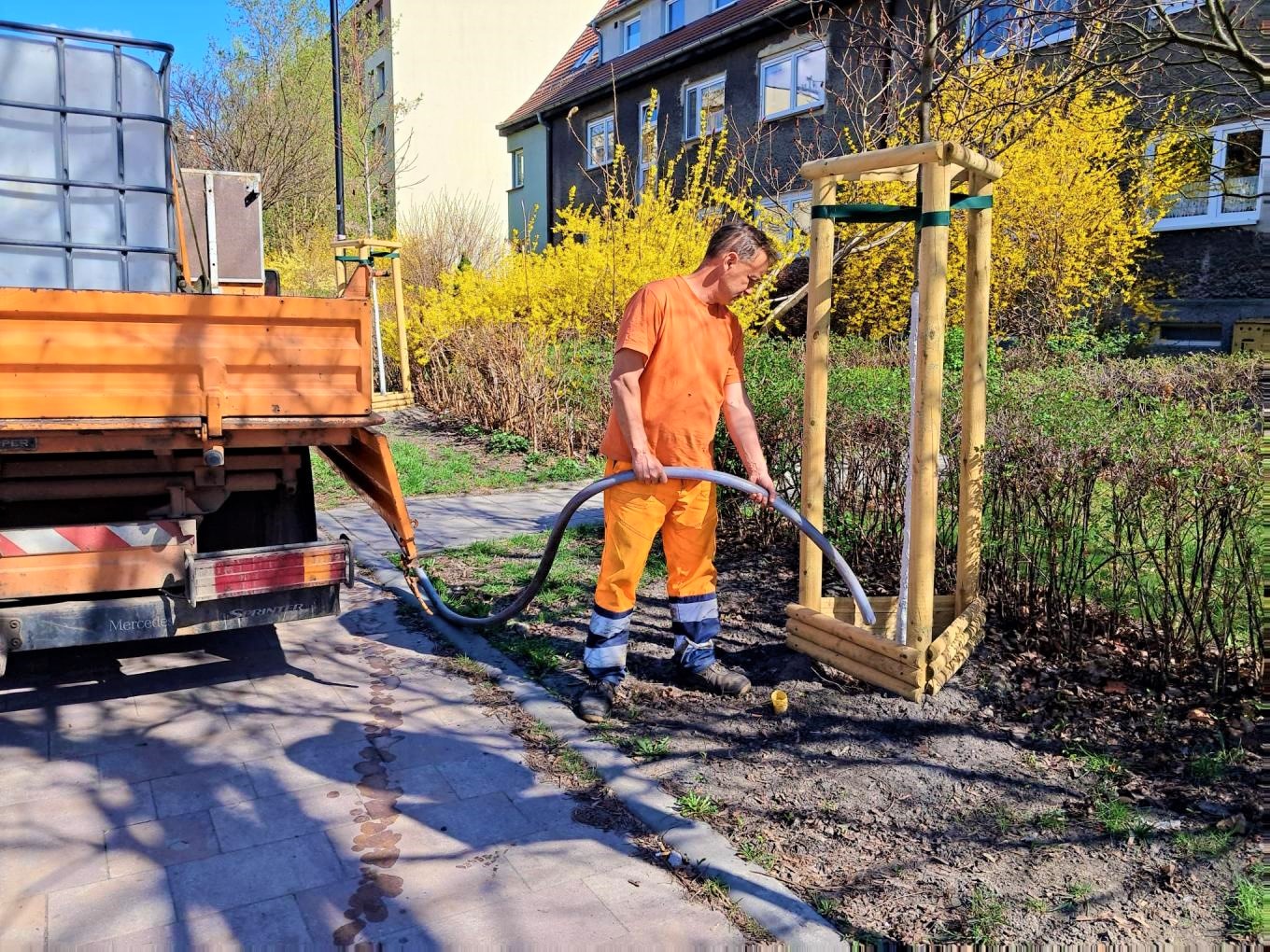 człowiek ubrany na pomarańczowo podlewa drzewo