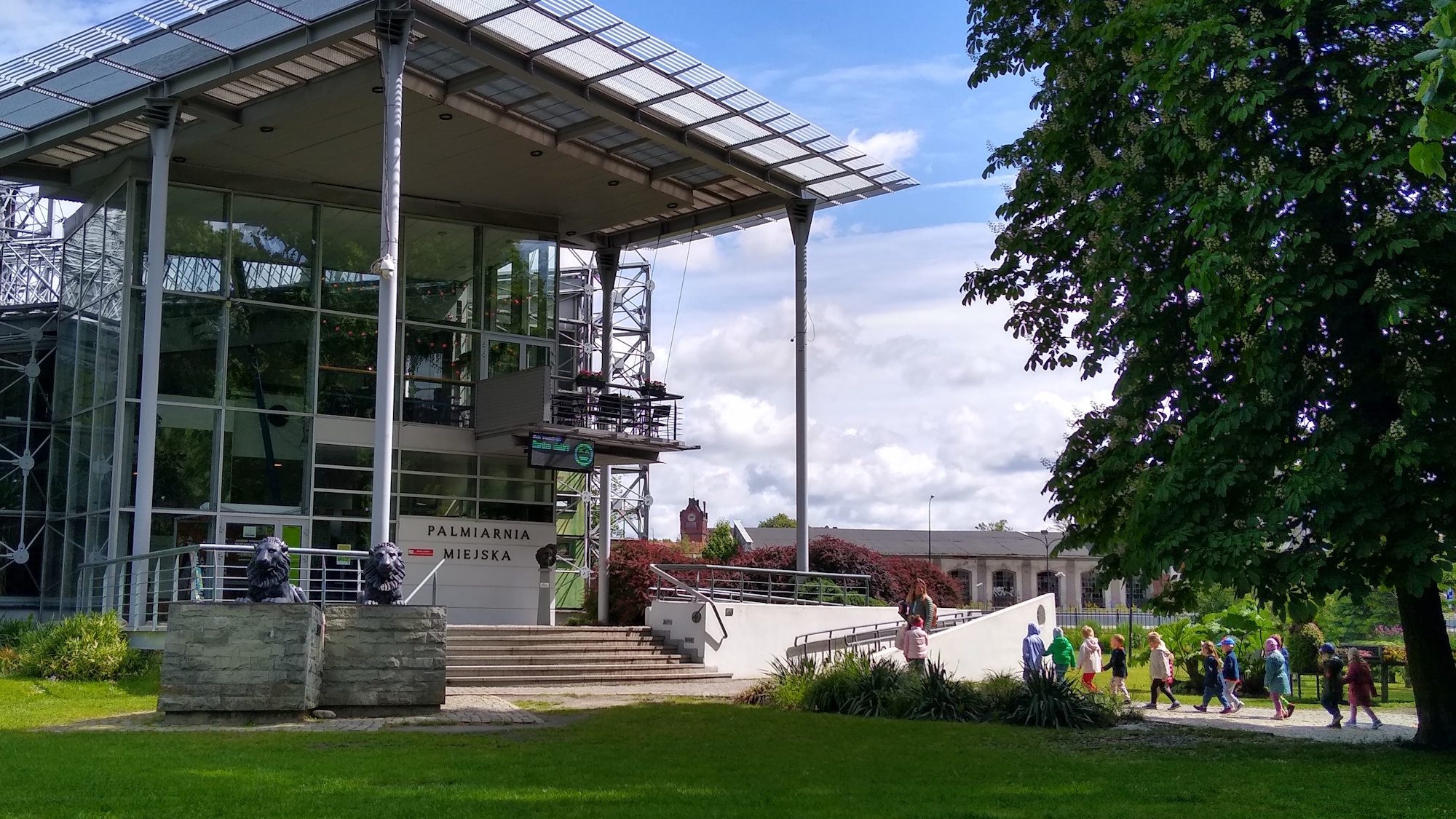 grupa dzieci z wychowawczynią idzie do Palmiarni