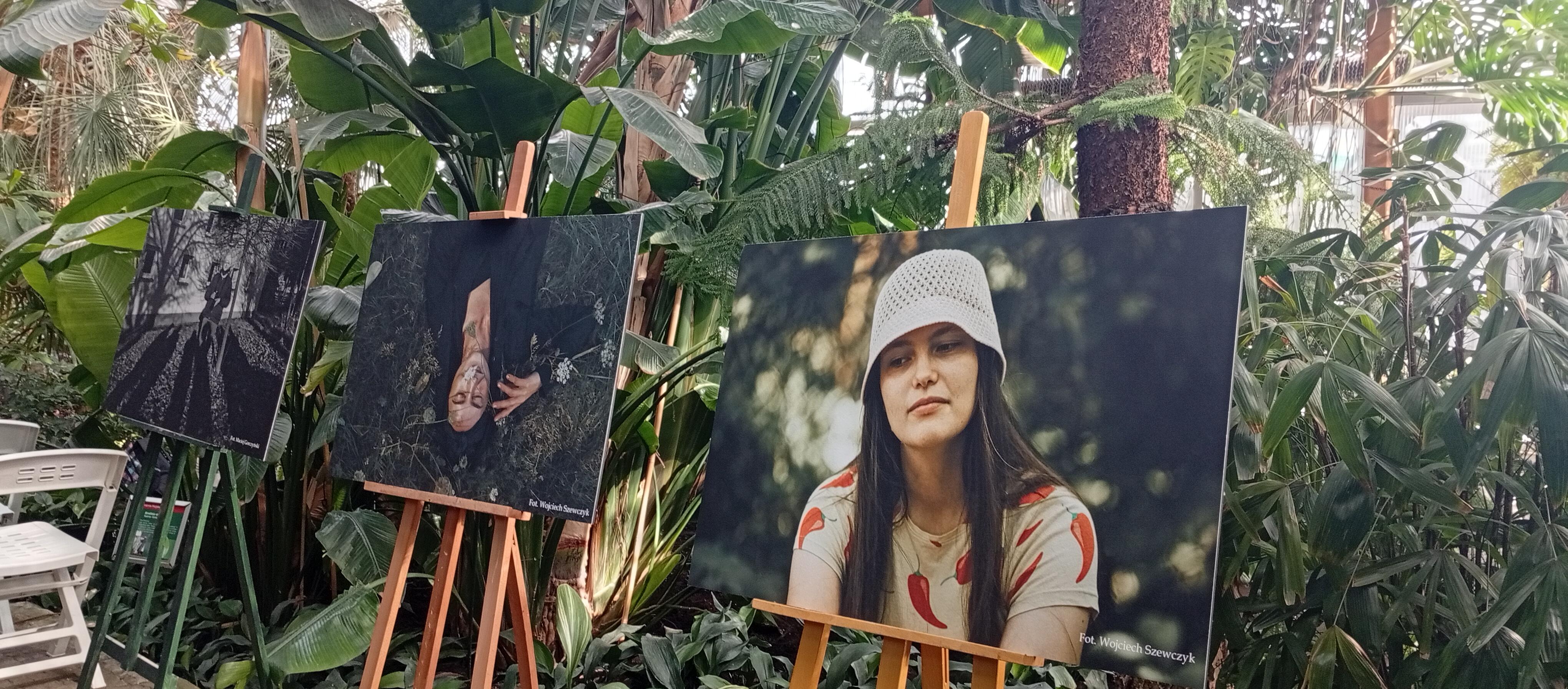 Fotografie na sztalugach w dali zieleń, krzewy i drzewa