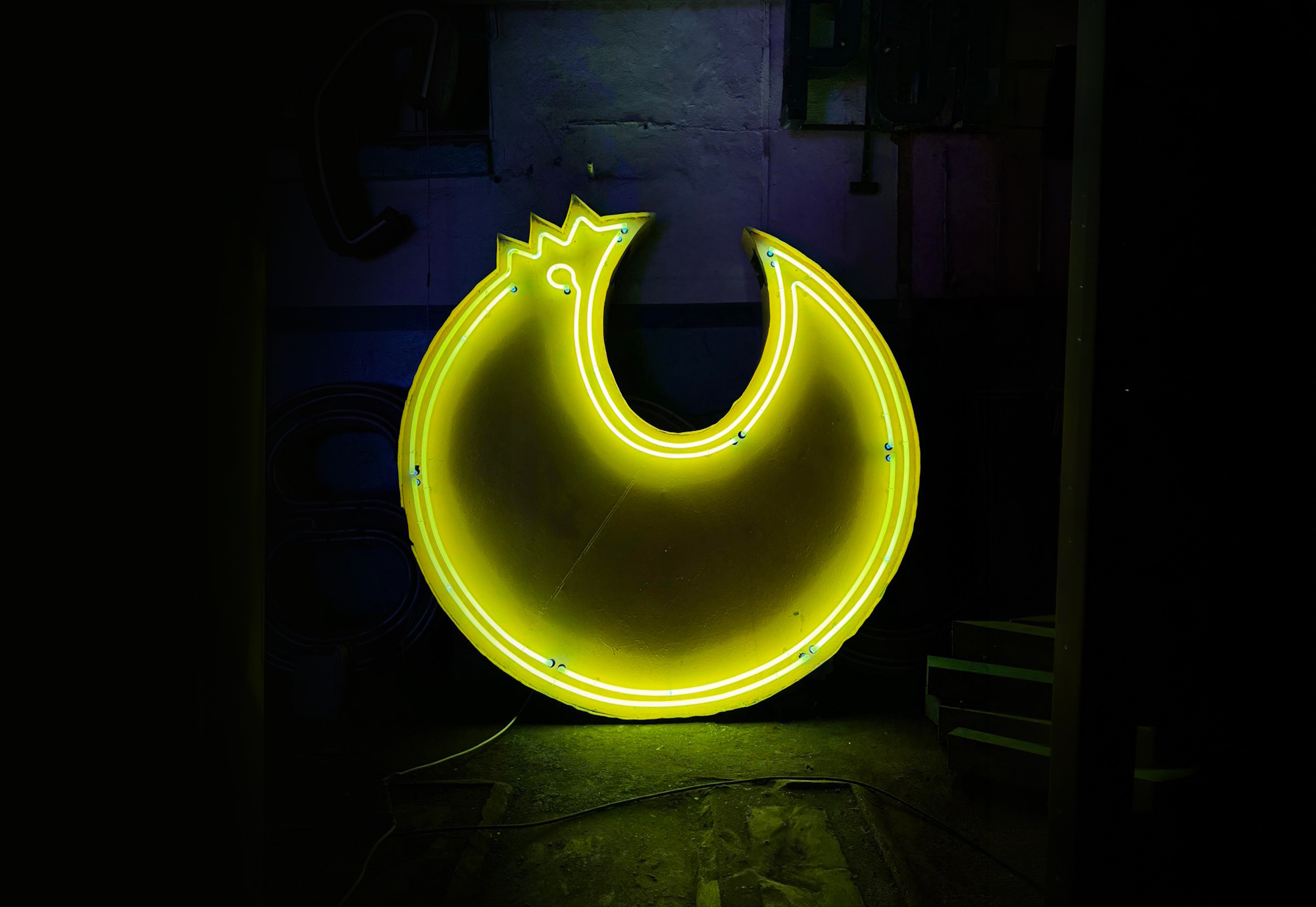 Neon w kształcie kury