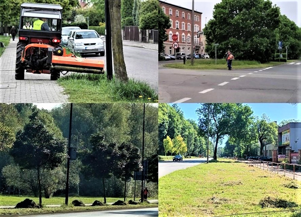 kolaż zdjęć na temat koszenia